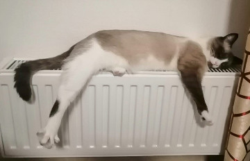 Отключение отопления